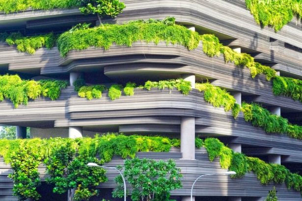 why-eco-luxury-is-the-next-big-market-for-tech-savvy-entrepreneurs